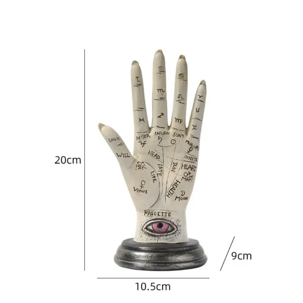 Palmistry Hand - Image 6